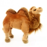 Plišasti kamela