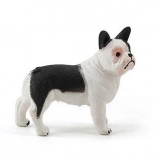 Francoski buldog figura