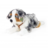 Plišasti avstralski ovčar ležeč 61 cm, okolju prijazen