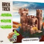 Trefl Brick Trick trdnjava, 220 kosov