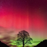 Heye Puzzle Moč Narave: Sycamore Gap 1000 Kosov
