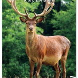 Stenski koledar Lovski 2026