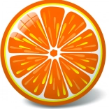 Žoga pomaranča, 23 cm