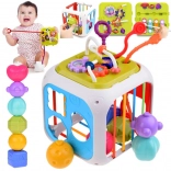 Izobraževalna aktivna kocka s sortiranjem oblik in činelicami