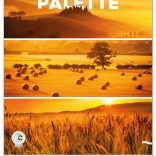 Stenski koledar Paleta 2026