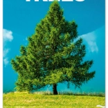 Notique stenski koledar Drevesa 2026