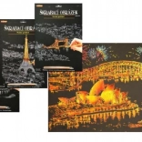 ARTLOVER praskanka zlata – nočni pogled na Opero v Sydneyu