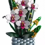 Komplet Kraljevski Cvetovi Mold 1158 kosov