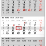 Notique stenski trimesečni koledar Krajina, slovaška imena 2026, 29,5 × 43 cm, siv