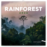 Koledar z zapiski Deževni gozdovi 2026