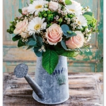 Stenski koledar Šopki 2026